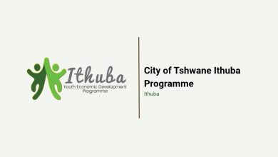 City of Tshwane Ithuba Programme: Jobs, Skills and Business Support for Youth